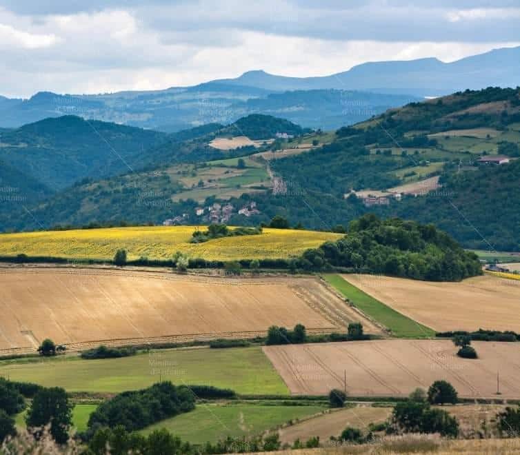 paysage