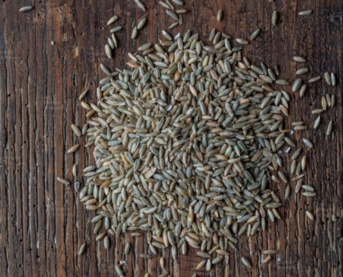 Grains de seigle de Margeride des Moulins d'Antoine ©P.Soissons