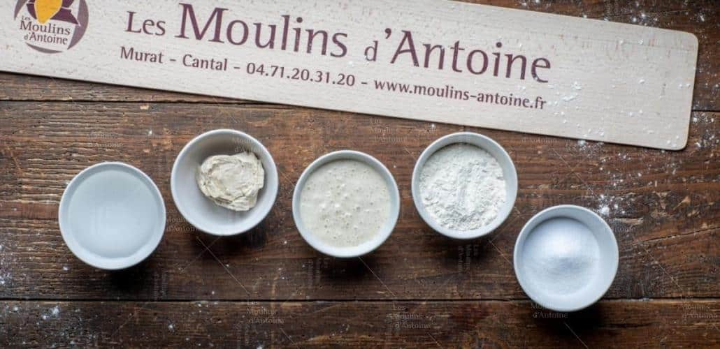 ingredients-pain-au-levain-moulins-dantoine-687x1030