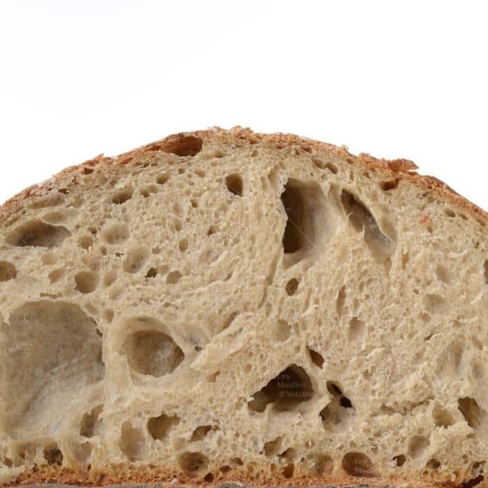 pain de meule (3)